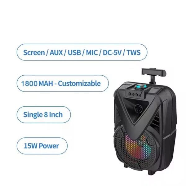 theatre Speaker (6)