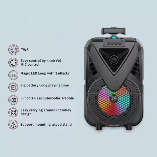 theatre Speaker (7)