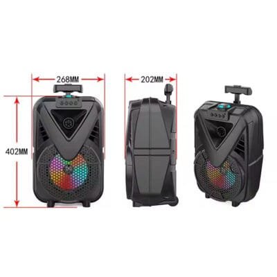 theatre Speaker (8)