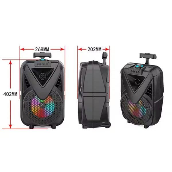 theatre Speaker (8)