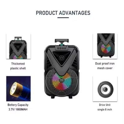 theatre Speaker (9)