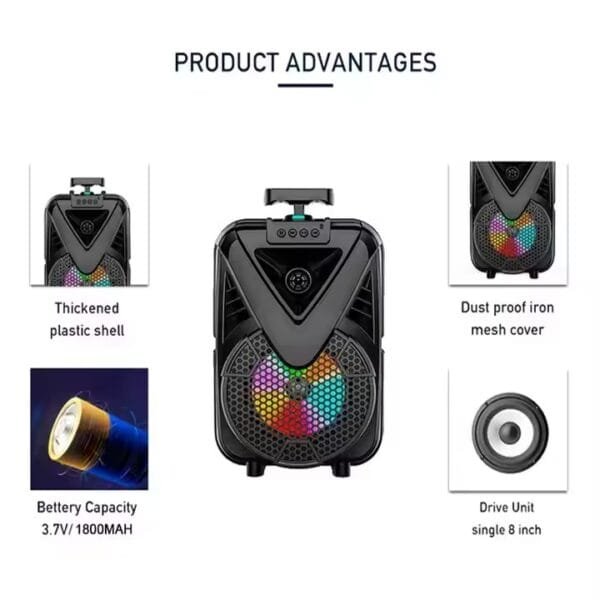 theatre Speaker (9)
