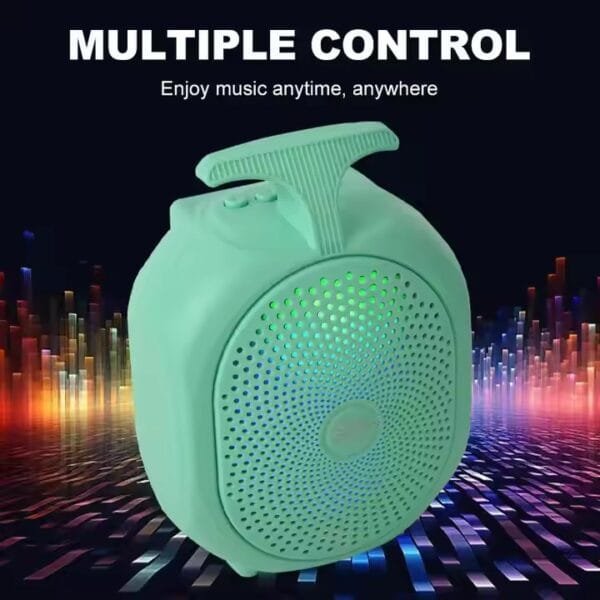 wireless bt music speaker (1)