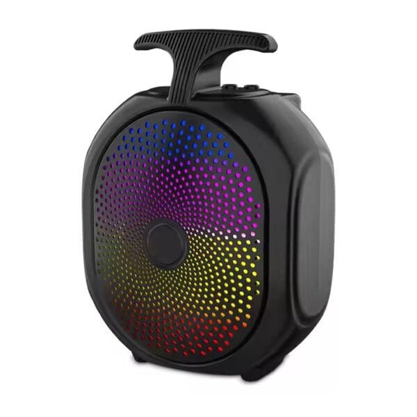 wireless bt music speaker (10)
