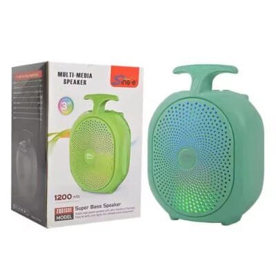 wireless bt music speaker (11)
