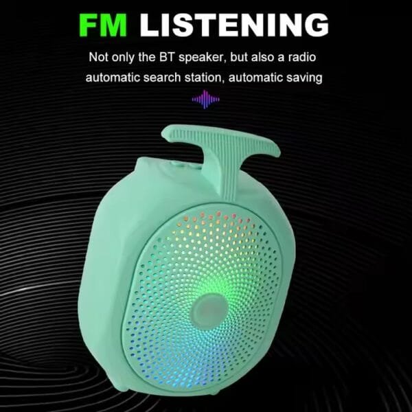 wireless bt music speaker (5)