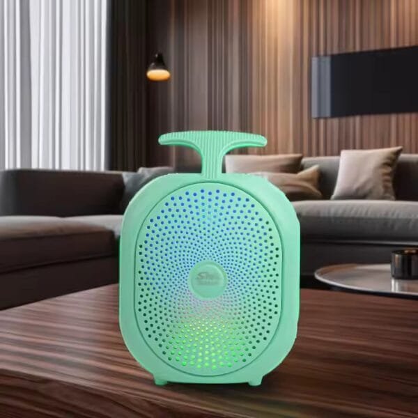 wireless bt music speaker (8)