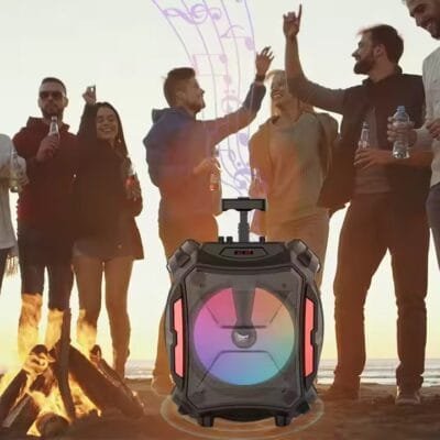 wireless trolley speaker (10)